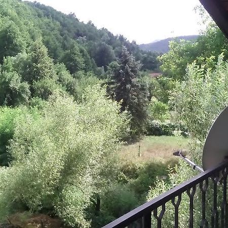 Guest Rooms Voneshcha Voda Woneszta Woda Zewnętrze zdjęcie